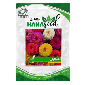 بذر گل آهار الوان