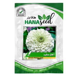 بذر گل آهار سفید هانا بذر