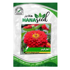 بذر گل آهار قرمز هانا بذر