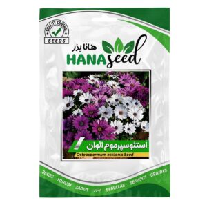 بذر گل استئوسپرموم الوان هانا بذر