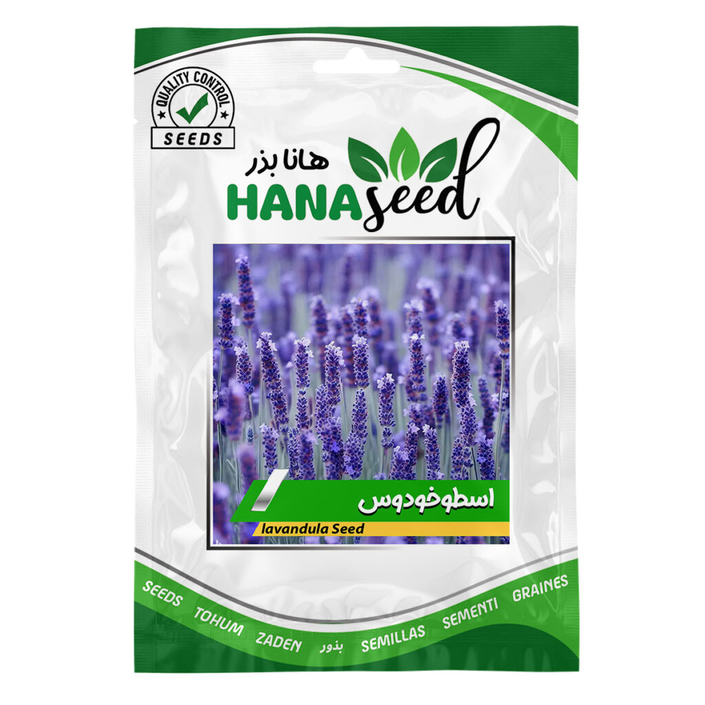 بذر اسطوخودوس