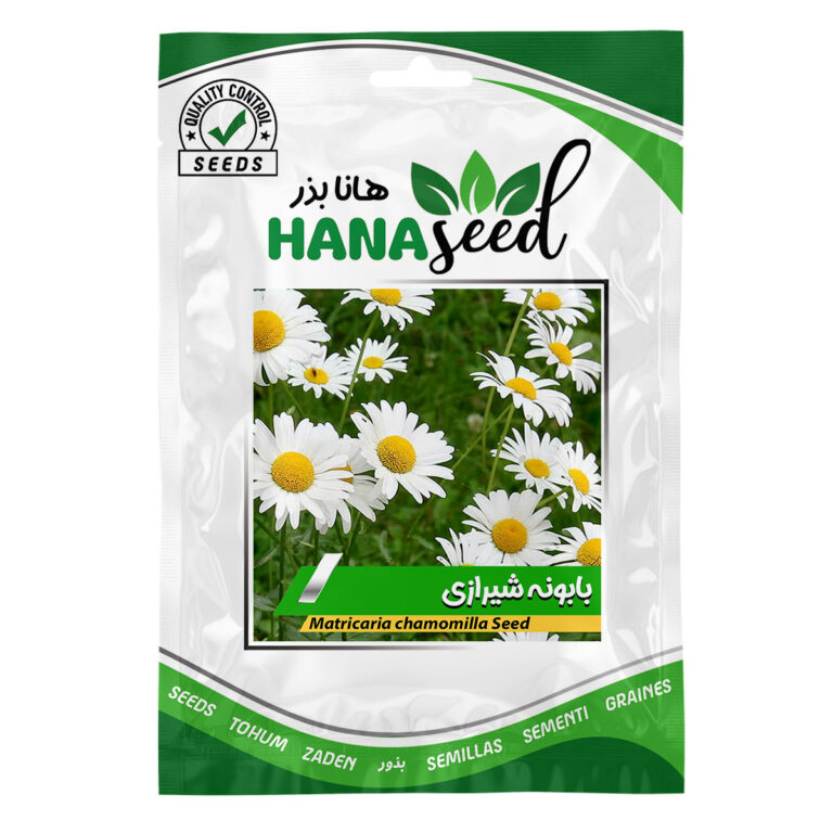 بذر بابونه شیرازی (بابونه آلمانی)