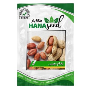 بذر  بادام زمینی هانا بذر