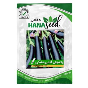 بذر بادمجان سیاه قلمی هانا بذر