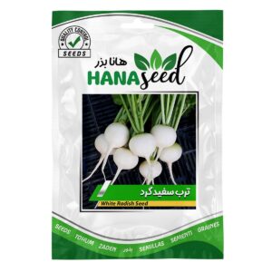 بذر ترب سفید گرد هانا بذر