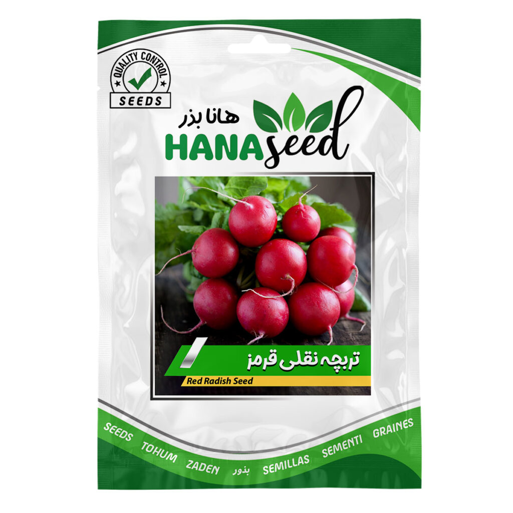 بذر تربچه نقلی