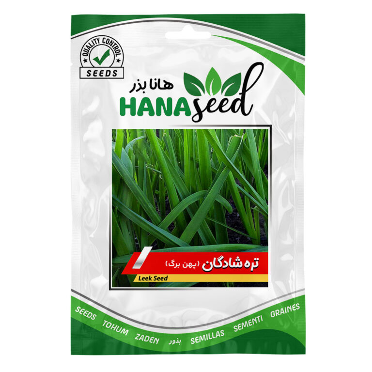 بذر تره عربی (تره شادگان)