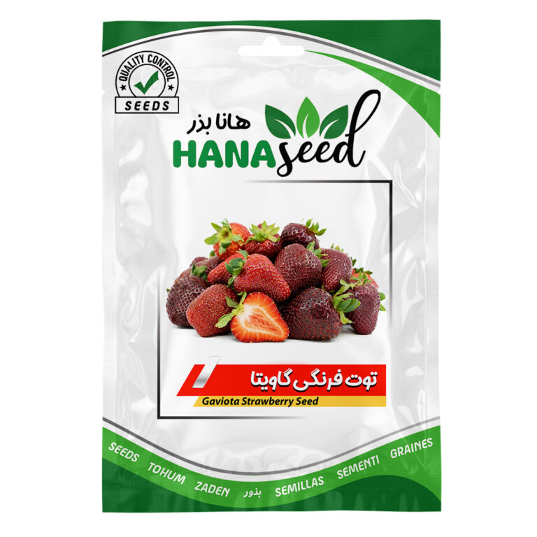 بذر توت فرنگی گاویتا