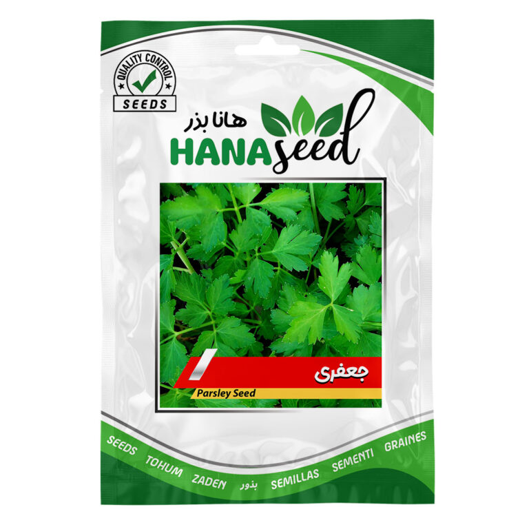 بذر جعفری
