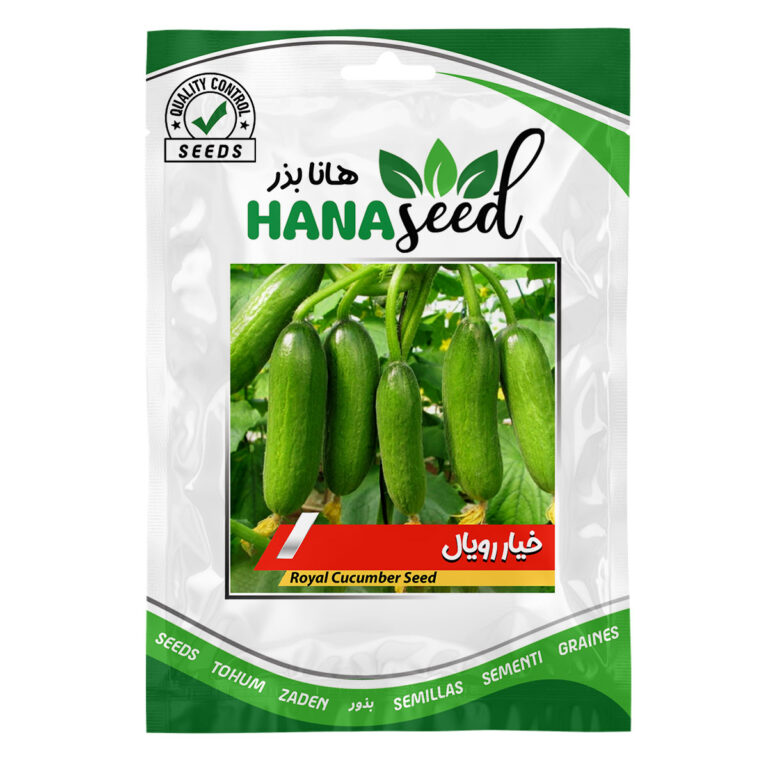 بذر خیار رویال