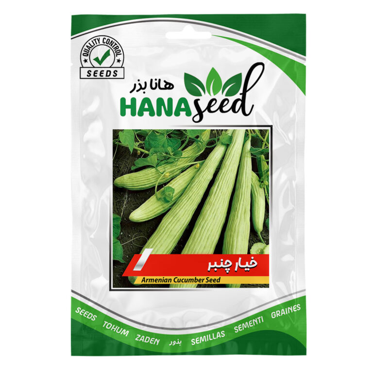 بذر خیار چنبر