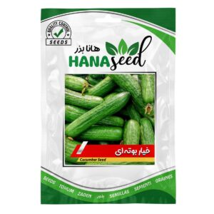 بذر خیار بوته ای هانا بذر