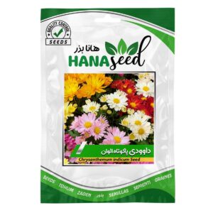 بذر گل داوودی الوان هانا بذر