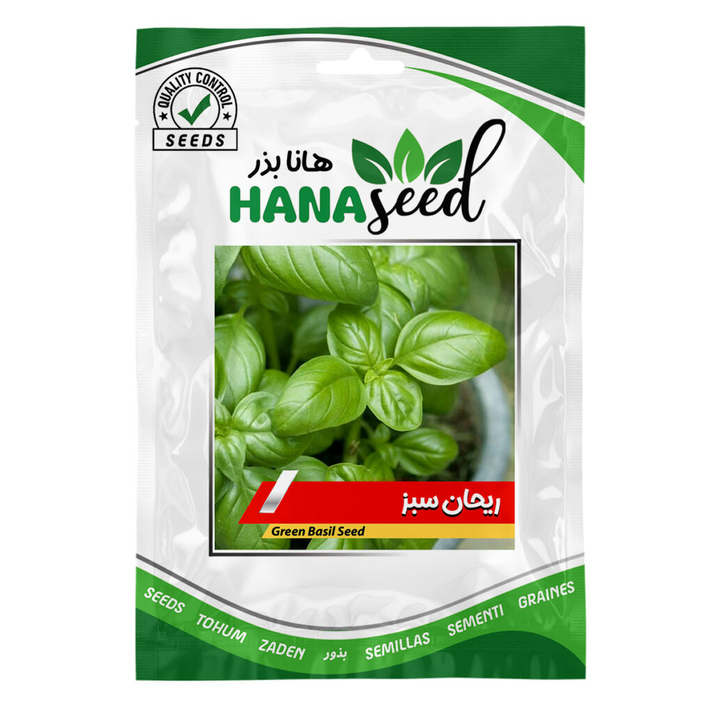 بذر ریحان سبز