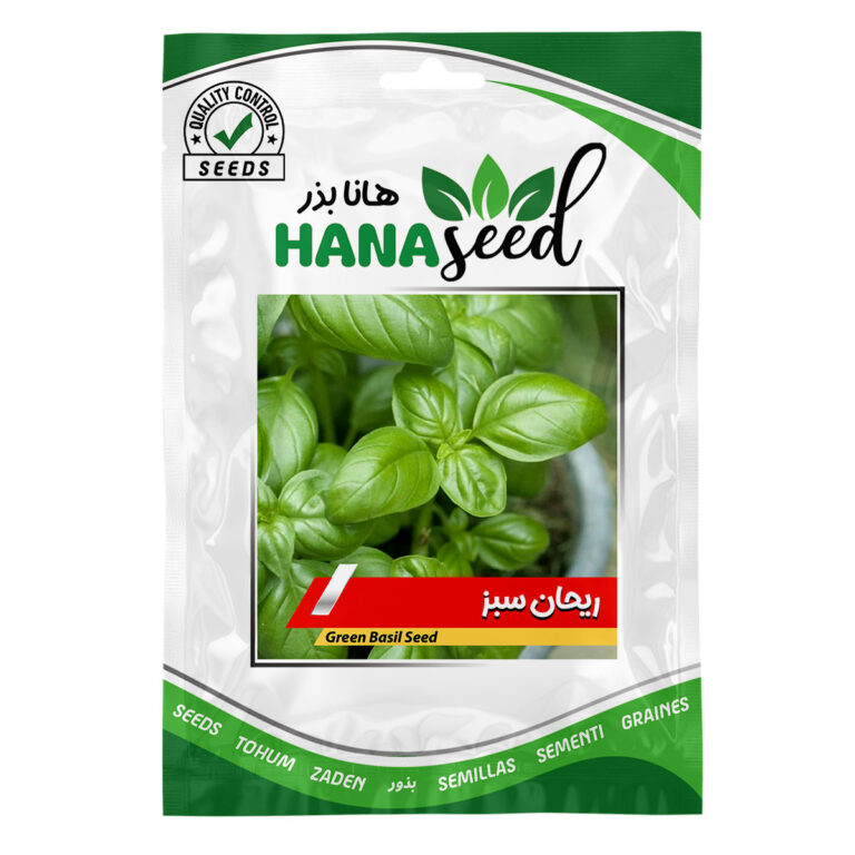 بذر ریحان سبز