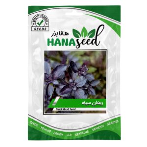 بذر ریحان سیاه هانا بذر