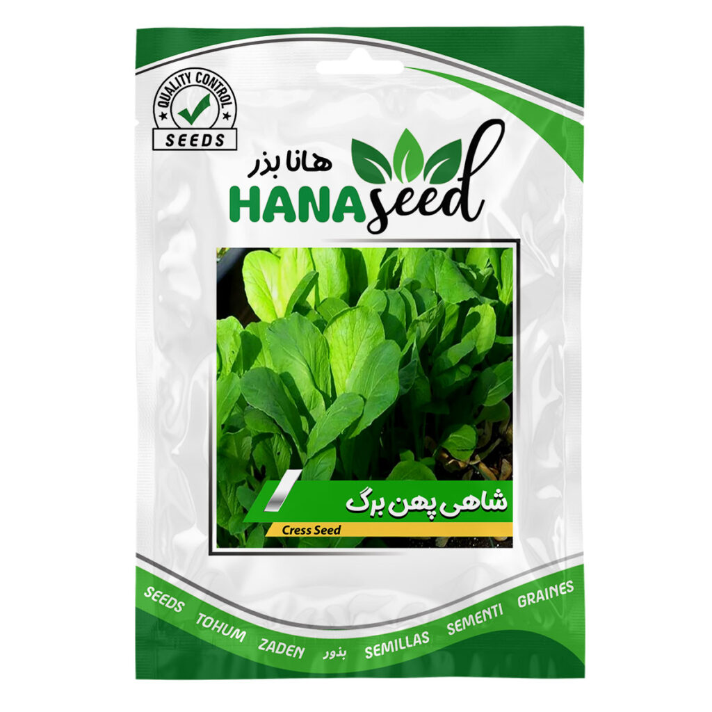 بذر شاهی