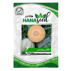 بذر طالبی زودرس هانا بذر