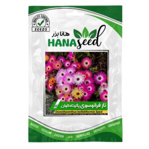 بذر گل ناز فرانسوی الوان هانا بذر