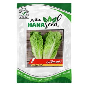 بذر کاهو سالادی هانا بذر