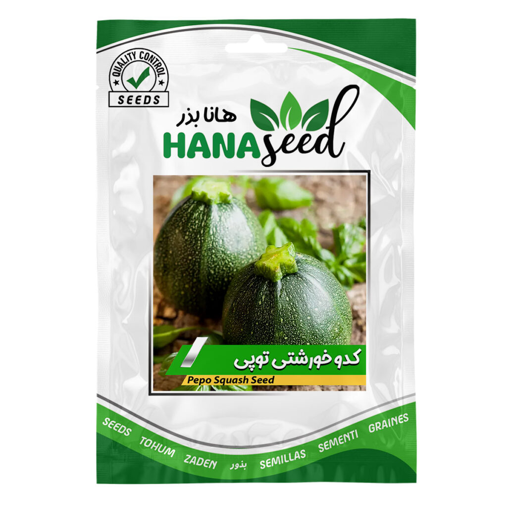 بذر کدو خورشتی توپی