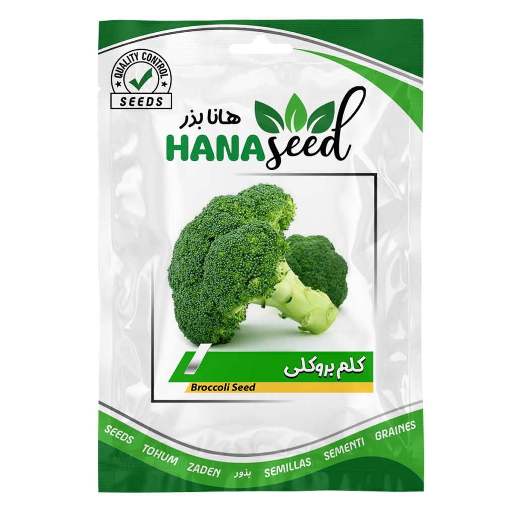بذر کلم بروکلی