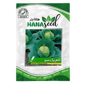 بذر کلم برگ سبز هانا بذر