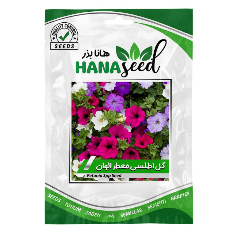 بذر اطلسی معطر الوان