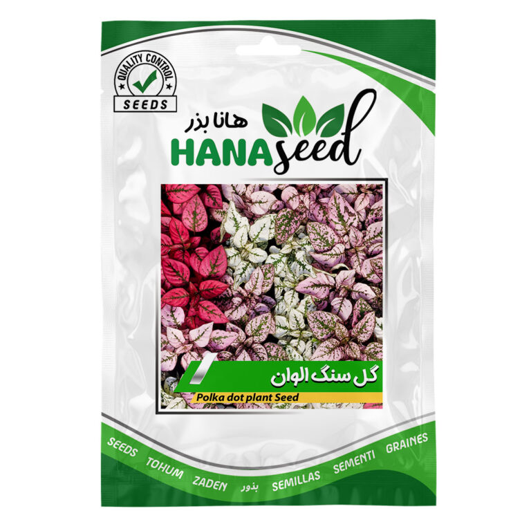 بذر گل سنگ الوان