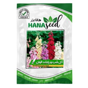 بذر گل شب بو پابلند الوان هانا بذر
