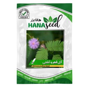 بذر گل قهر و آتشی هانا بذر