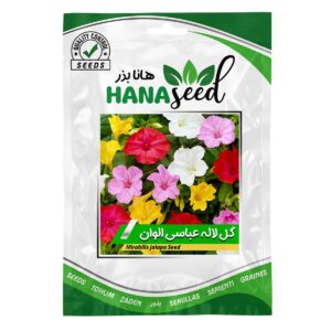 بذر گل لاله عباسی الوان هانا بذر