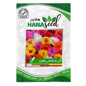 بذر گل ناز آفتابی الوان هانا بذر