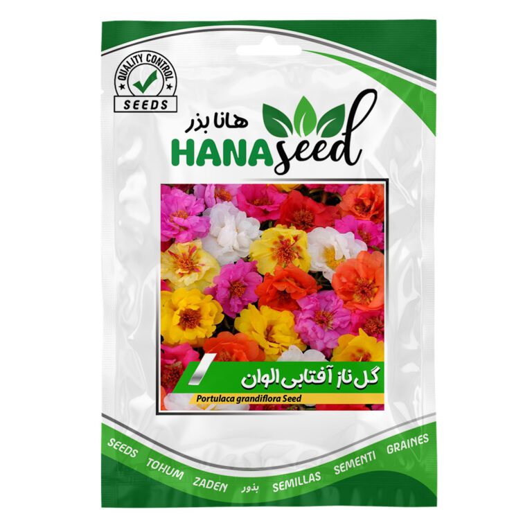 بذر گل ناز آفتابی الوان
