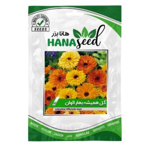 بذر گل همیشه بهار نارنجی هانا بذر
