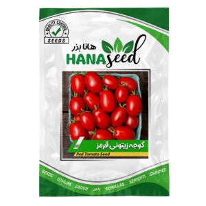 بذر گوجه زیتونی قرمز هانا بذر