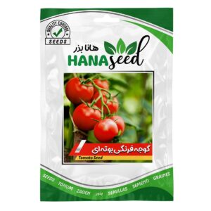 بذر گوجه فرنگی بوته ای هانا بذر
