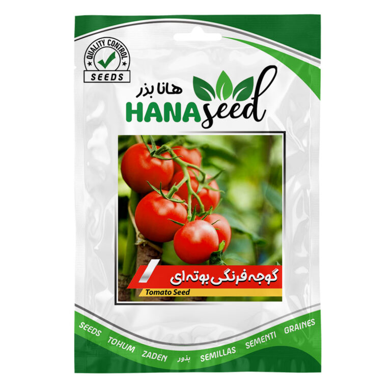 بذر گوجه فرنگی بوته ای