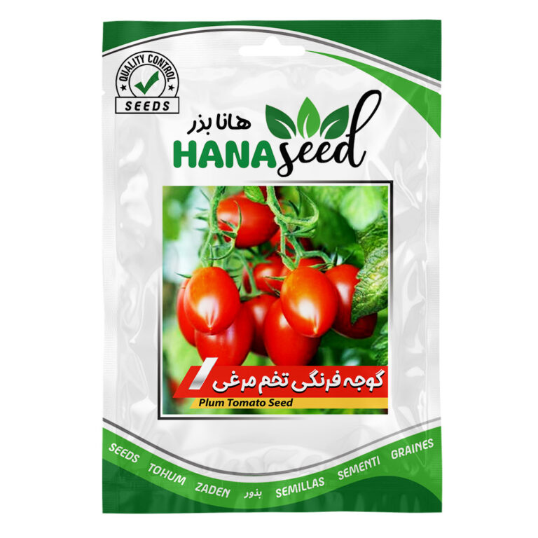 بذر گوجه فرنگی تخم مرغی