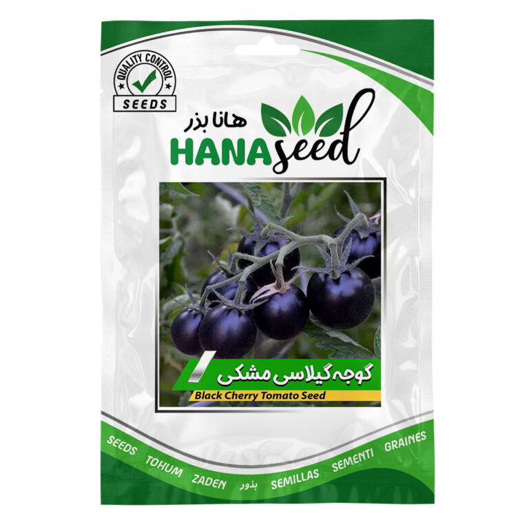 بذر گوجه گیلاسی مشکی