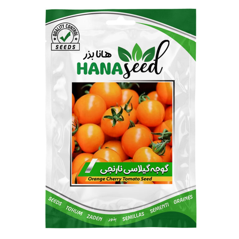 بذر گوجه گیلاسی نارنجی