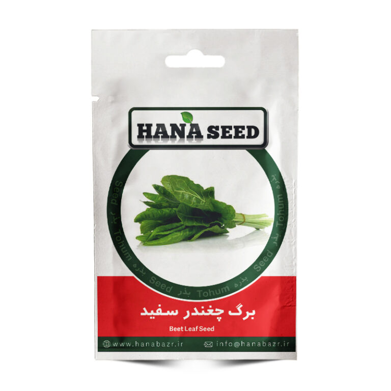 بذر برگ چغندر سفید