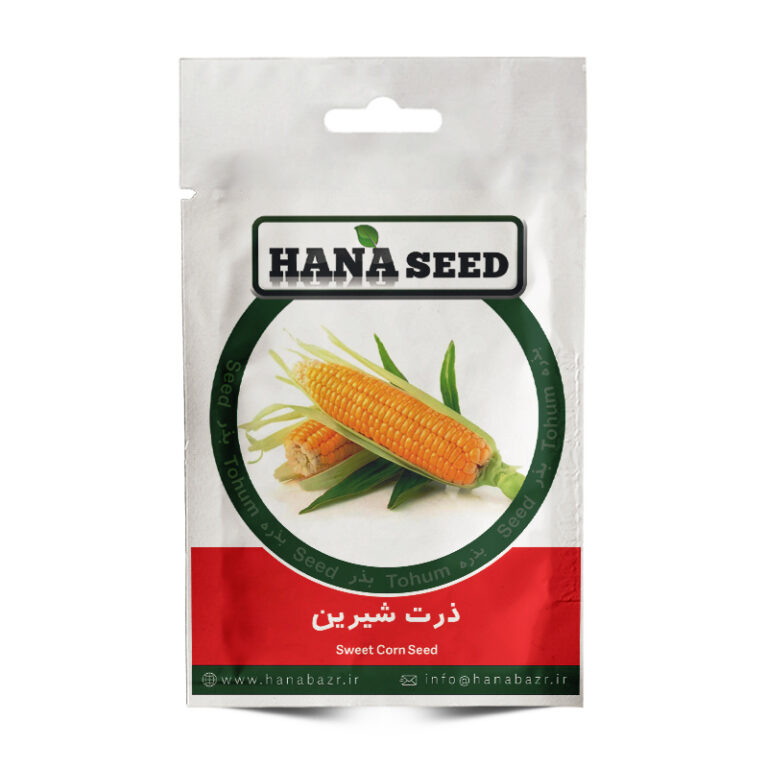 بذر ذرت شیرین