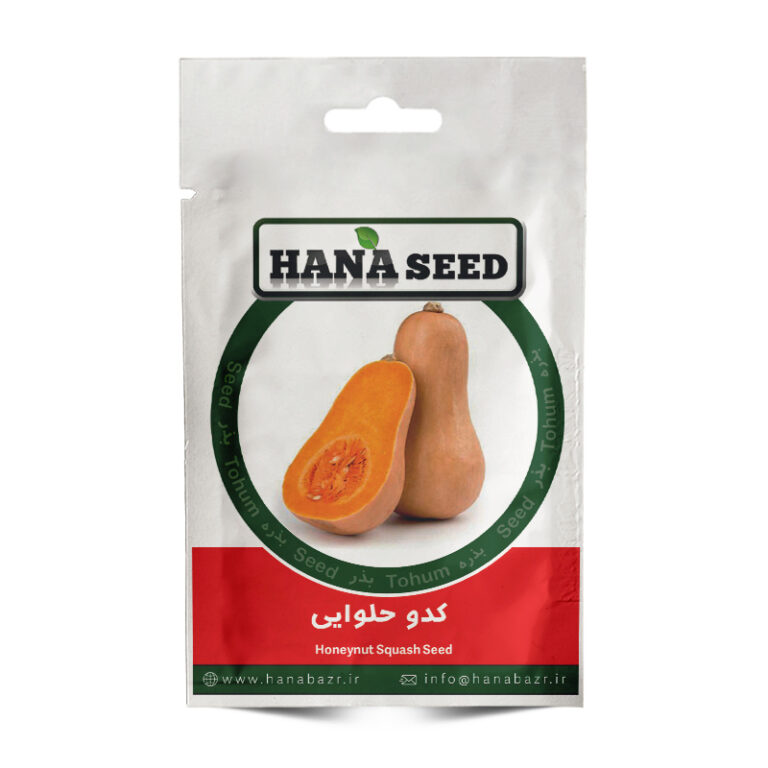 بذر کدو حلوایی