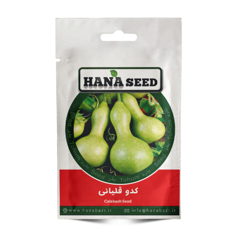 بذر کدو قلیانی