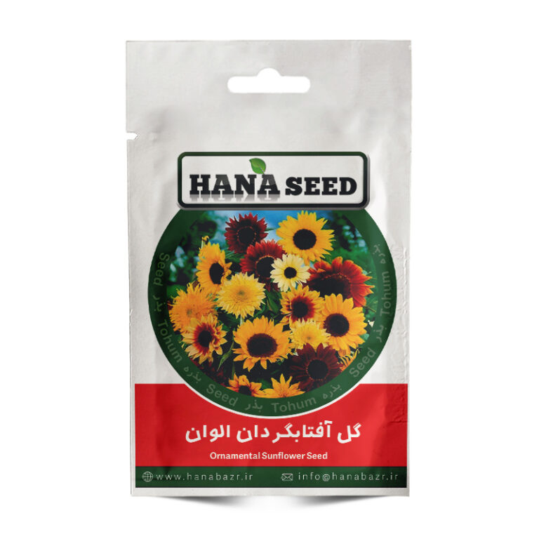 بذر گل آفتابگردان الوان