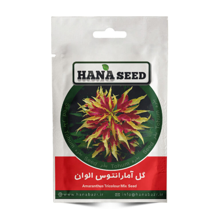 بذر گل آمارانتوس الوان