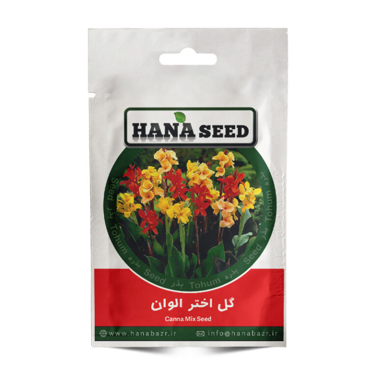 بذر گل اختر الوان