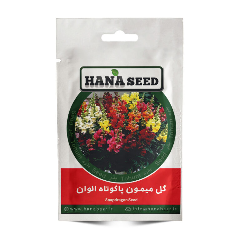 بذر گل میمون پاکوتاه الوان