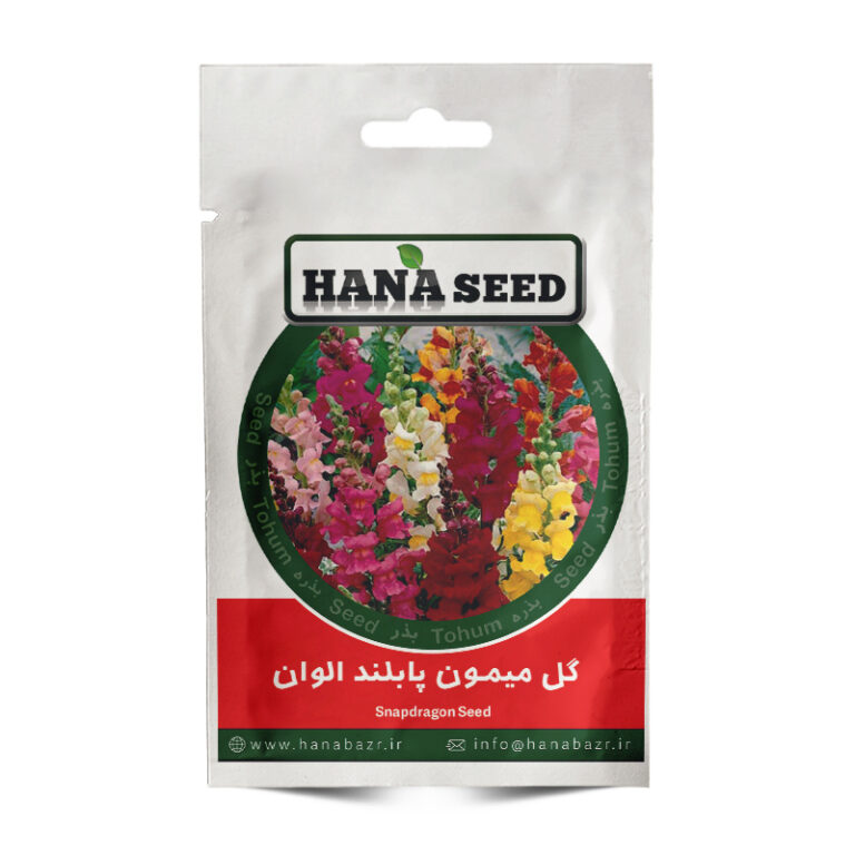 بذر گل میمون پابلند الوان